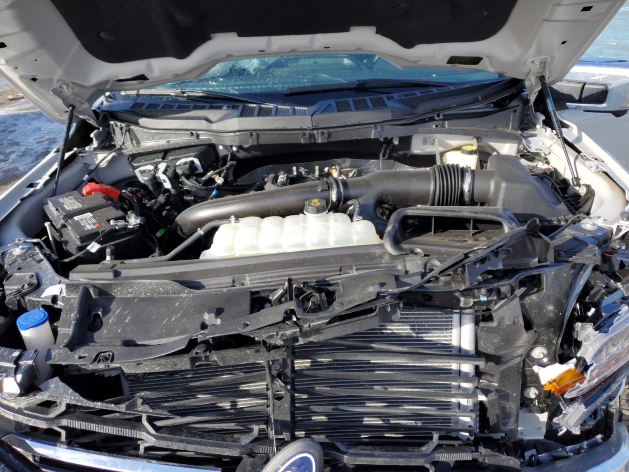 2024 FORD F150 XLT VIN:1FTFW3L80RKF63210