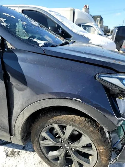 2016 Hyundai Santa FE KMHSW81XBGU540496 VIN:KMHSW81XBGU540496