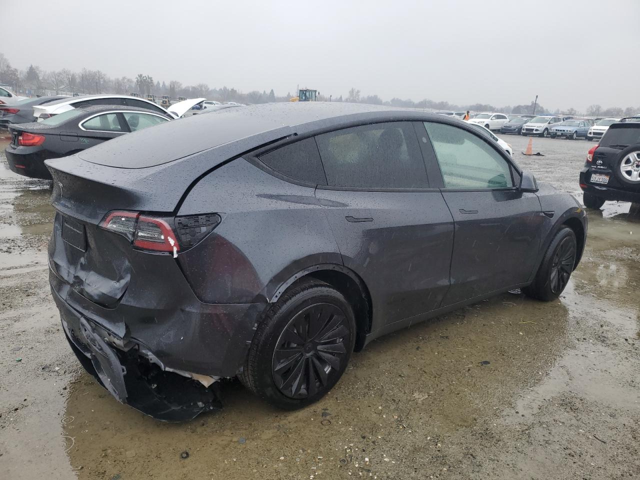 2024 TESLA MODEL Y  VIN:7SAYGDEDXRF055185