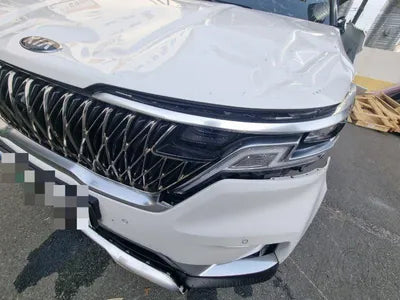 2020 Kia Carnival KNANC81BBMS015175 VIN:KNANC81BBMS015175
