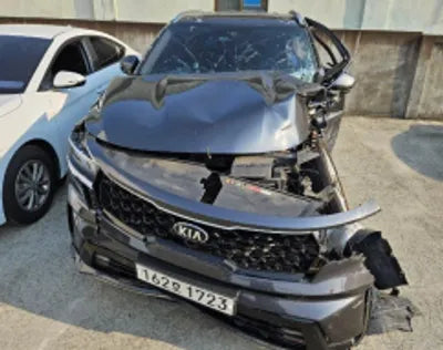2021 Kia Sorento KNARL81BGMA078047 VIN:KNARL81BGMA078047