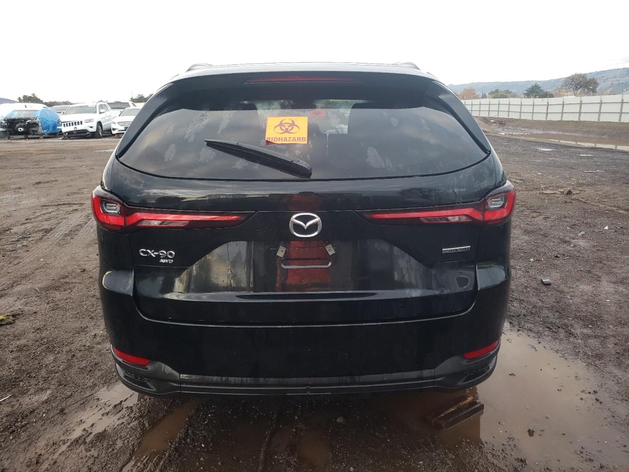 2024 MAZDA CX-90 SELECT VIN:JM3KKAHD9R1120183