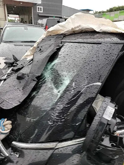 2020 MINI Cooper VIN: