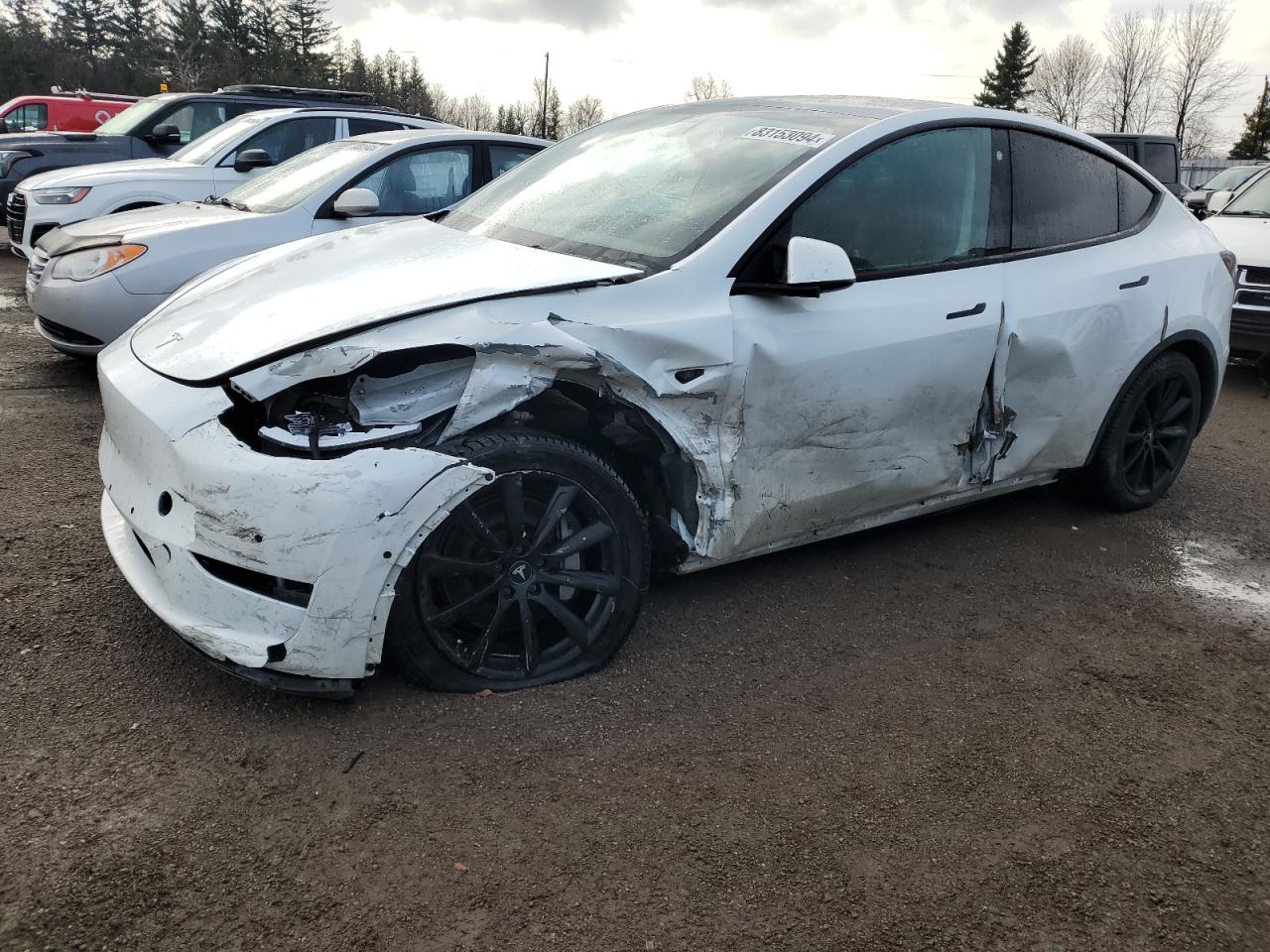 2022 TESLA MODEL Y  VIN:7SAYGDEE7NF450895