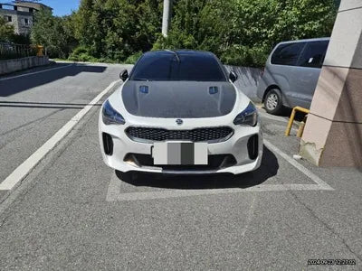 2019 Kia Stinger VIN: