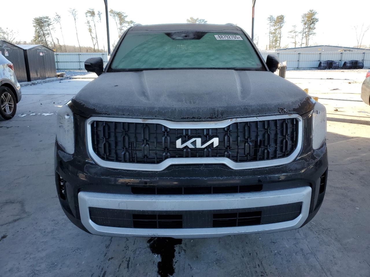 2024 KIA TELLURIDE EX VIN:5XYP34GC4RG567204