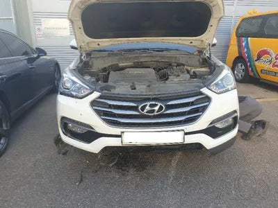 2017 Hyundai Santa FE KMHSW81UBHU712031 VIN:KMHSW81UBHU712031