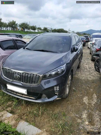 2018 Kia Sorento KNAPG81ABJA428230 VIN:KNAPG81ABJA428230