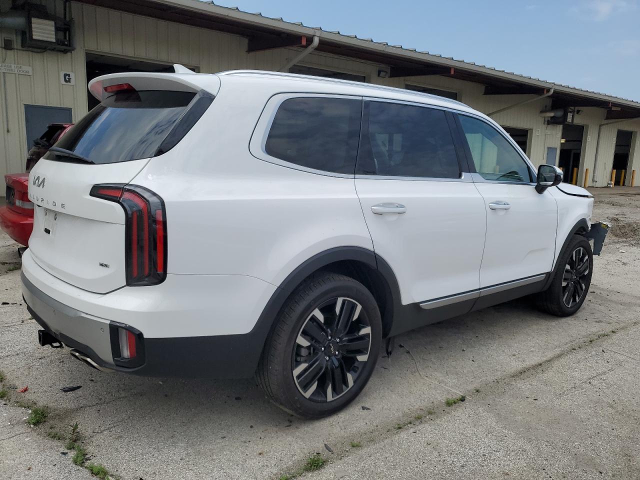 2024 KIA TELLURIDE SX VIN:5XYP5DGC0RG412630