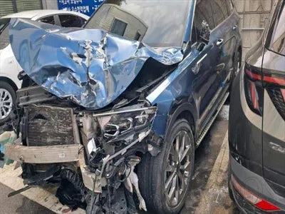 2020 Kia Sorento KNARH81BGMA062553 VIN:KNARH81BGMA062553
