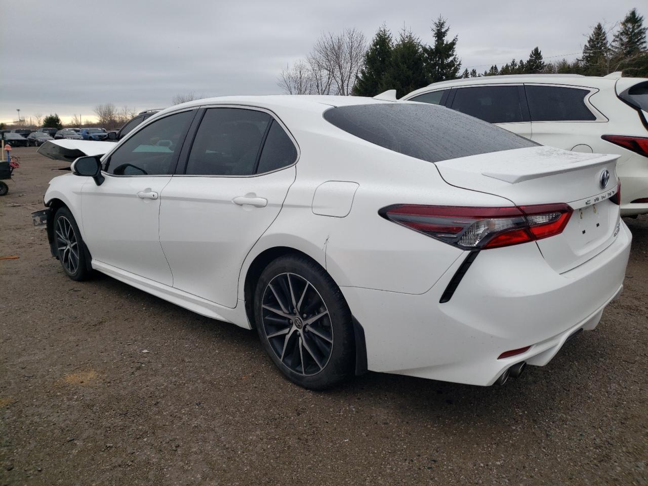2022 TOYOTA CAMRY XLE VIN:4T1B21HK9NU018409