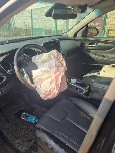 2019 Hyundai Santa FE 564KMKMHS381CDKU0 VIN:564KMKMHS381CDKU0