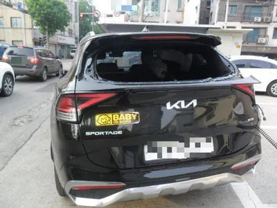 2021 Kia Sportage KNAPW81GBNK003327 VIN:KNAPW81GBNK003327