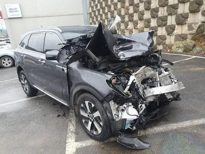 2021 Kia Sorento KNARL81BGMA097542 VIN:KNARL81BGMA097542