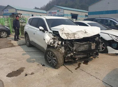 2019 Hyundai Santa FE KMHS281BDKU136900 VIN:KMHS281BDKU136900