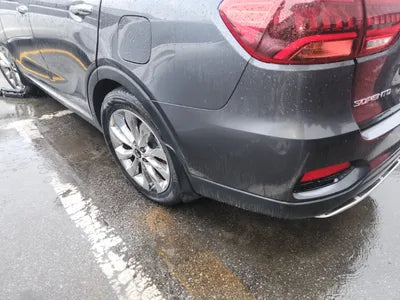 2019 Kia Sorento KNAPS81BBKA545743 VIN:KNAPS81BBKA545743