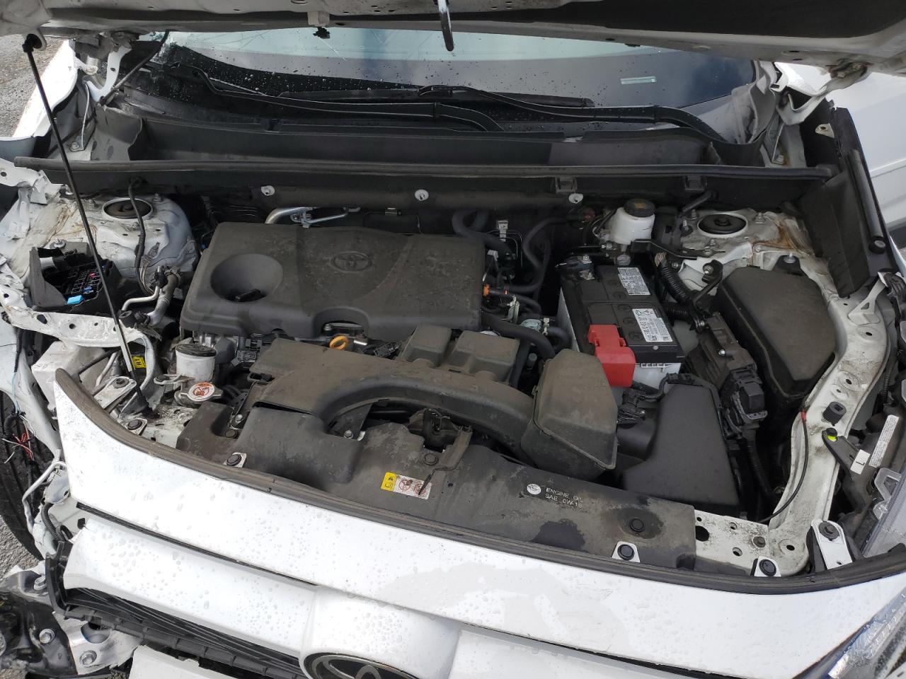 2023 TOYOTA RAV4 XLE VIN:2T3W1RFVXPC220879