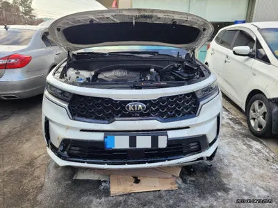 2020 Kia Sorento KNAPS81ABLA625226 VIN:KNAPS81ABLA625226
