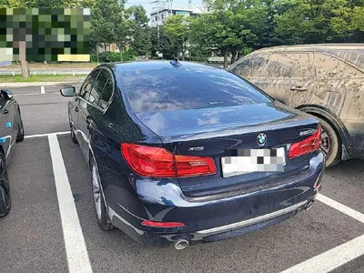 2020 BMW 520 WBAJF5107LCE18007 VIN:WBAJF5107LCE18007