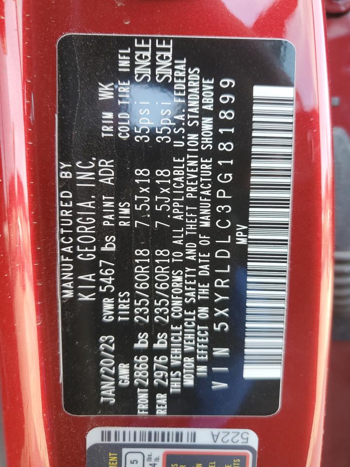 2023 KIA SORENTO S VIN:5XYRLDLC3PG181899