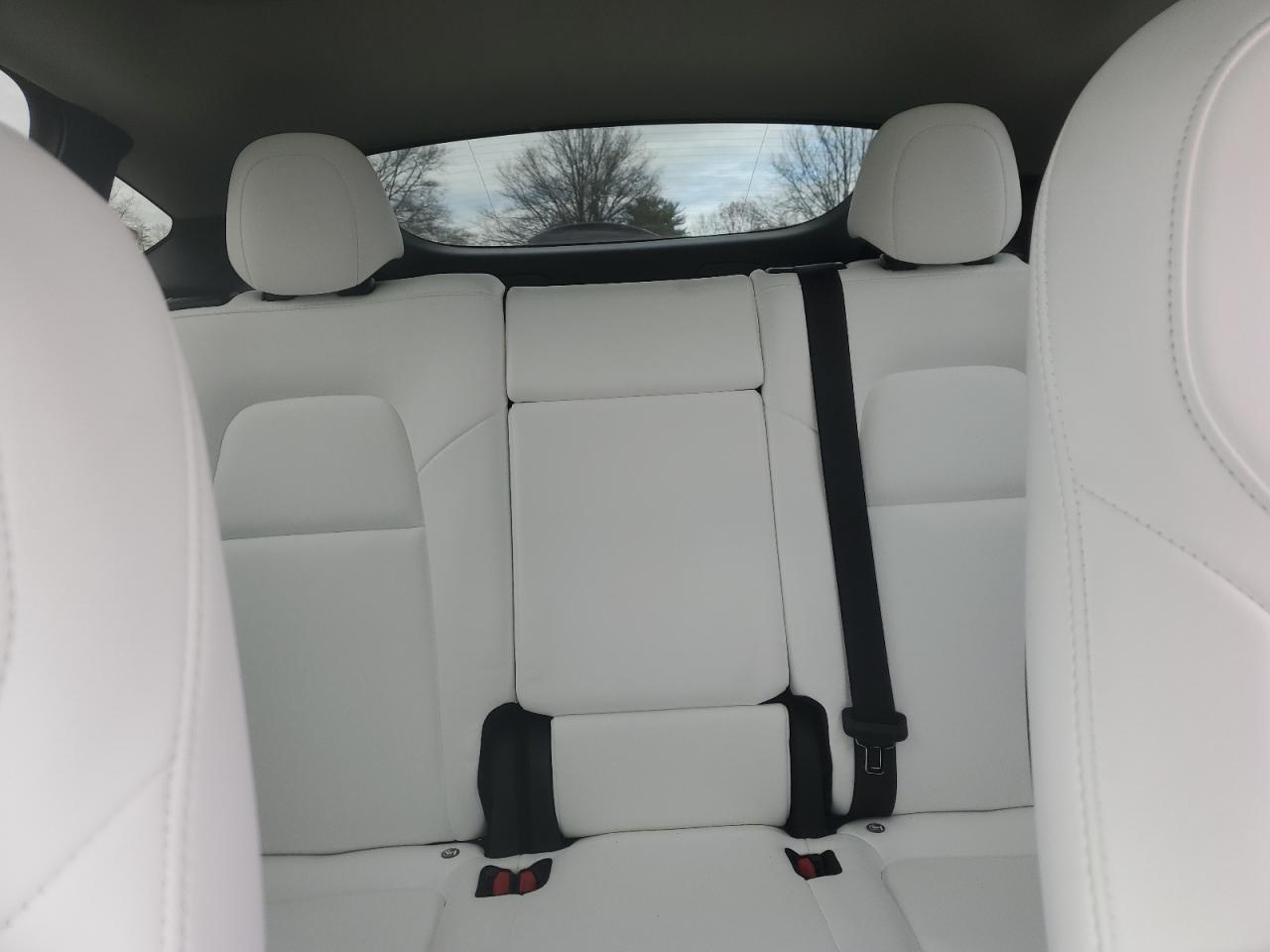 2023 TESLA MODEL Y  VIN:7SAYGDEF3PF589773