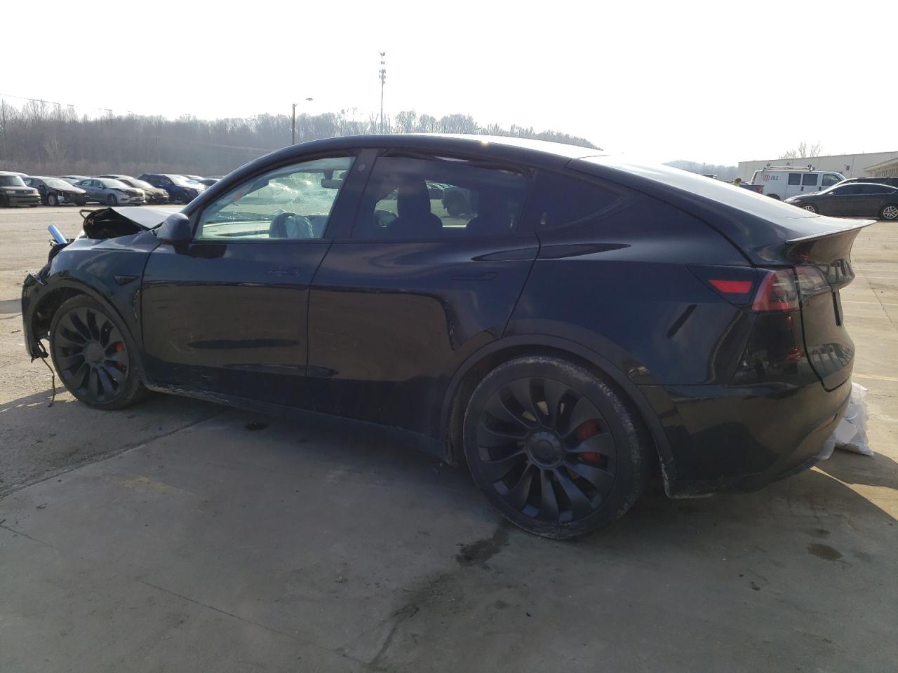 2022 TESLA MODEL Y  VIN:7SAYGDEF1NF343706