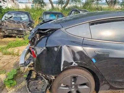 2021 Tesla Model 3 5YJ3E1EBXMF947195 VIN:5YJ3E1EBXMF947195