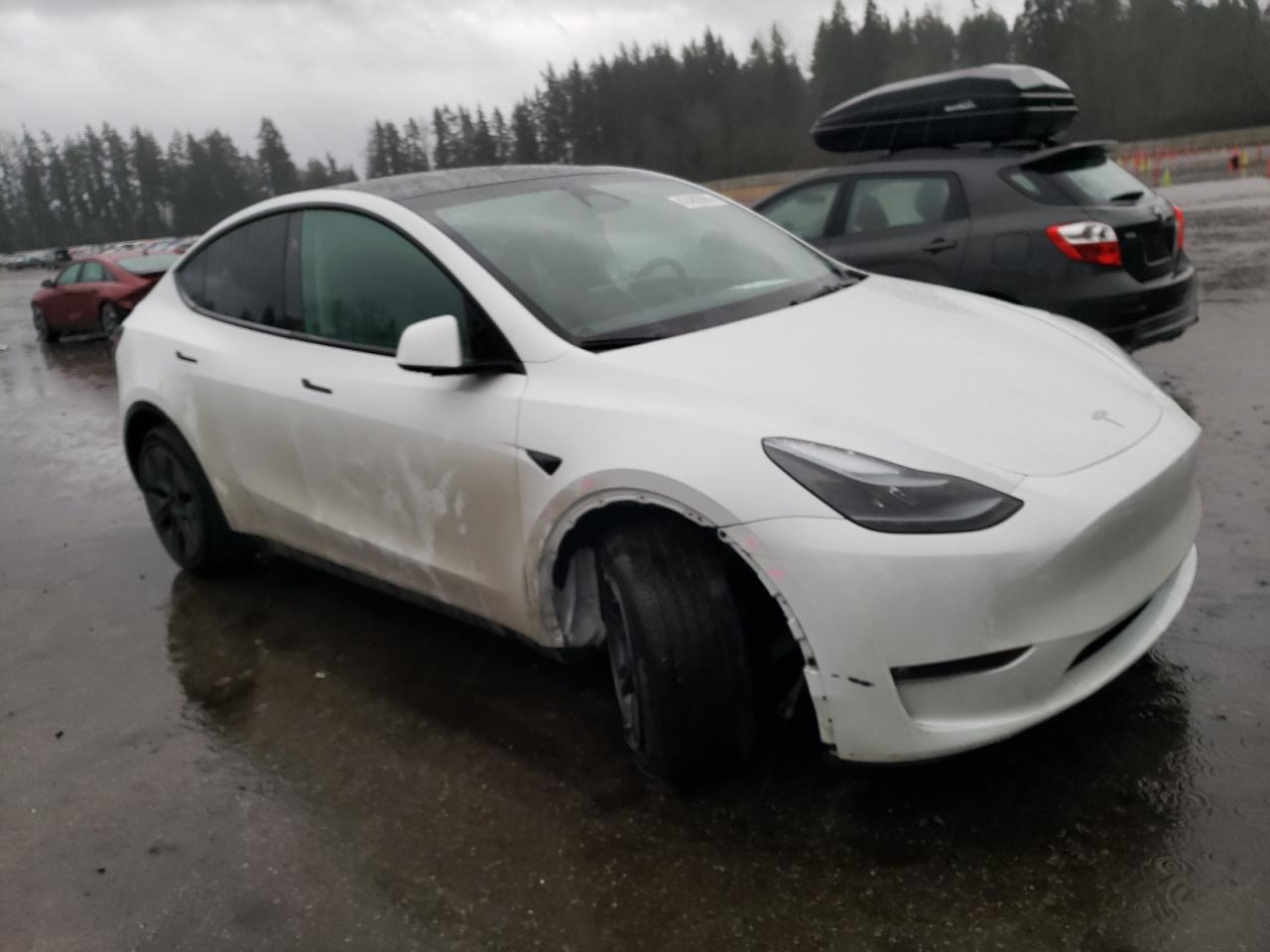 2024 TESLA MODEL Y  VIN:7SAYGDEE8RF193395
