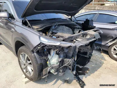 2019 Hyundai Santa FE 000KMHS281BBKU028 VIN:000KMHS281BBKU028