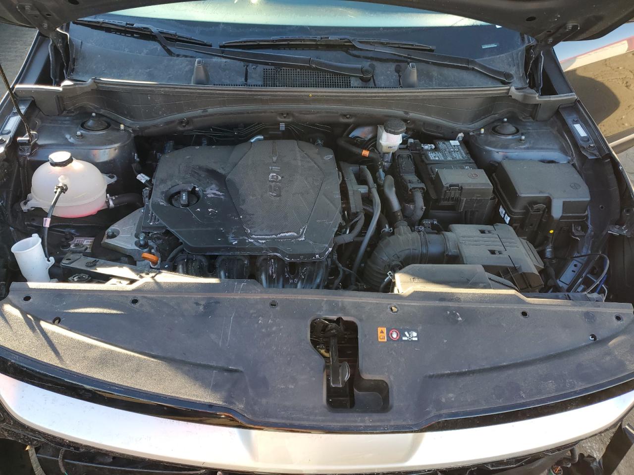 2024 KIA SPORTAGE EX VIN:5XYK3CDF1RG169001