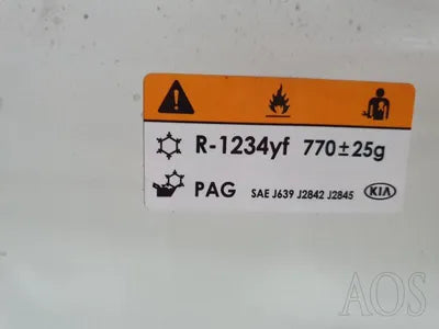 2020 Kia Carnival KNANB81BBMS024261 VIN:KNANB81BBMS024261