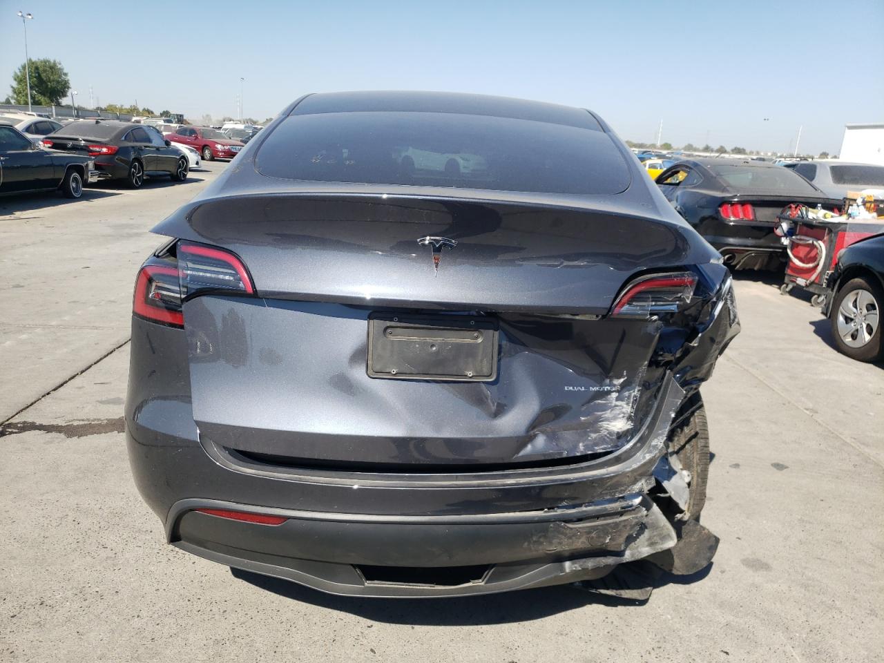 2023 TESLA MODEL Y  VIN:7SAYGDEE9PF970633