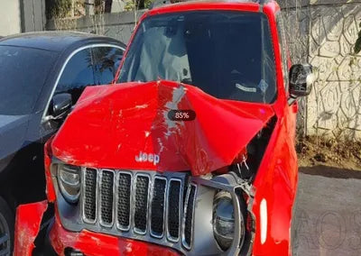 2019 Jeep Renegade 1C4BU0000KPK40792 VIN:1C4BU0000KPK40792
