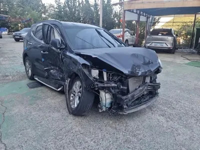 2016 Hyundai Santa FE KMHSW81UBGU695225 VIN:KMHSW81UBGU695225