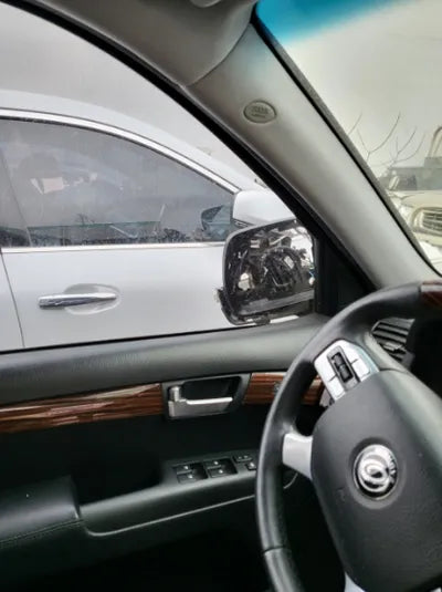 2017 Kia Mohave KNAKN814DHA156446 VIN:KNAKN814DHA156446