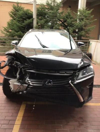 2018 Lexus RX 450 2T2BGMCA1JC022379 VIN:2T2BGMCA1JC022379
