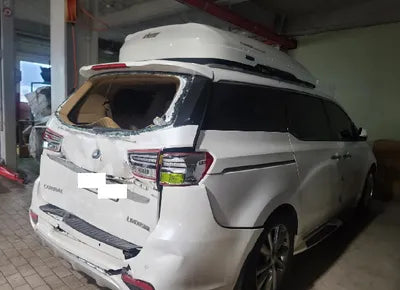 2019 Kia Carnival KNAME811BKS456641 VIN:KNAME811BKS456641