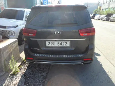 2018 Kia Carnival KNAMB81ABKS455318 VIN:KNAMB81ABKS455318