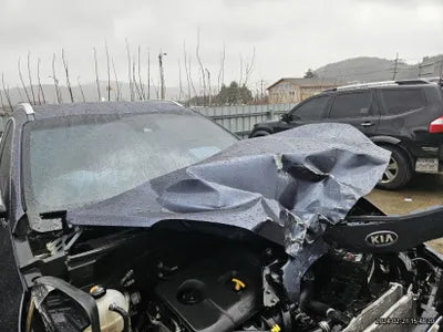 2019 Kia Sportage KNAPP81ABKK643821 VIN:KNAPP81ABKK643821