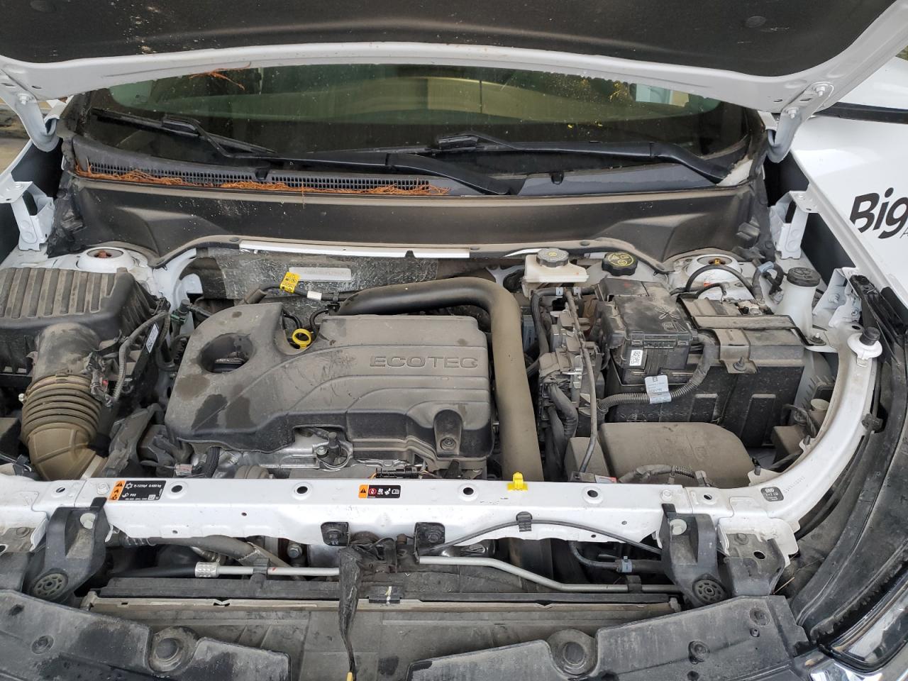 2023 CHEVROLET EQUINOX LT VIN:3GNAXTEG3PL234824