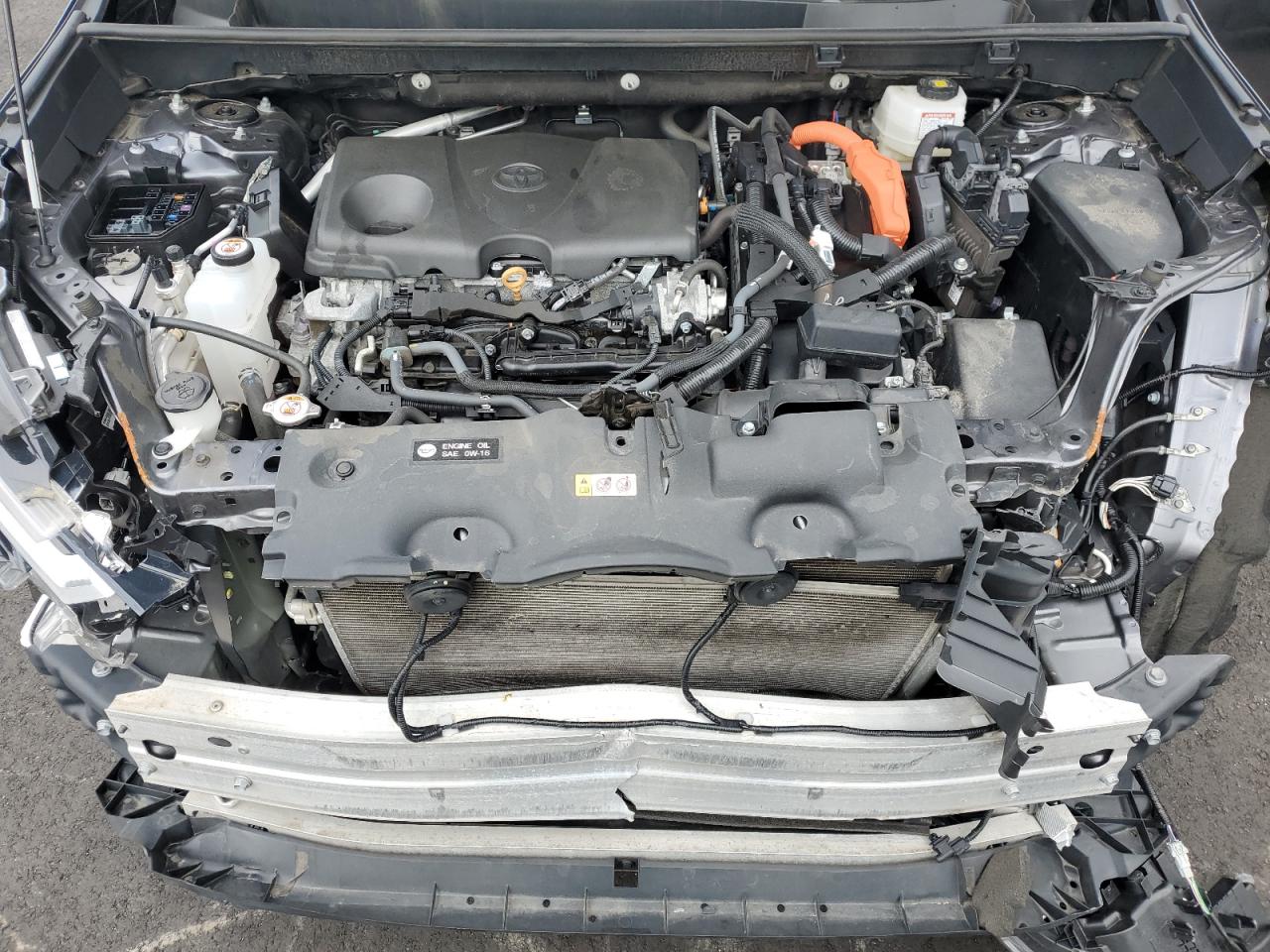 2024 TOYOTA RAV4 LE VIN:4T3LWRFV1RU129148