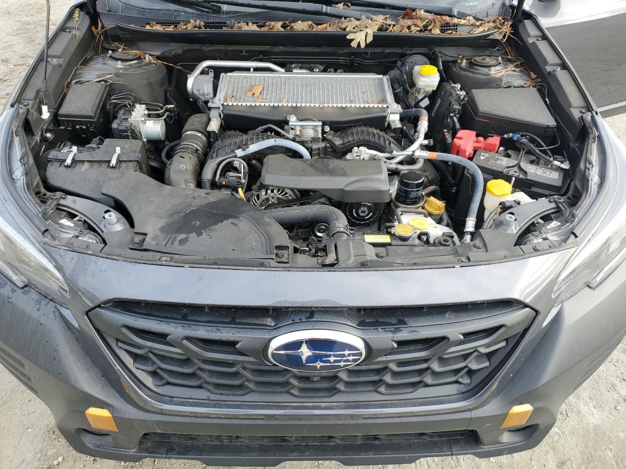 2023 SUBARU OUTBACK WILDERNESS VIN:4S4BTGUDXP3197690