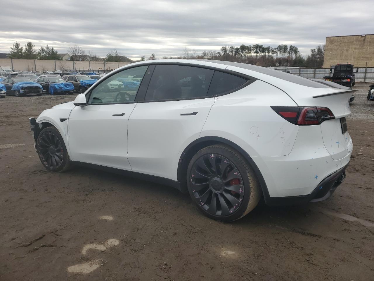 2023 TESLA MODEL Y  VIN:7SAYGDEF3PF589773