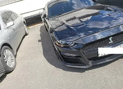 2019 Ford Mustang GT 1FA6P8CF3K5193762 VIN:1FA6P8CF3K5193762