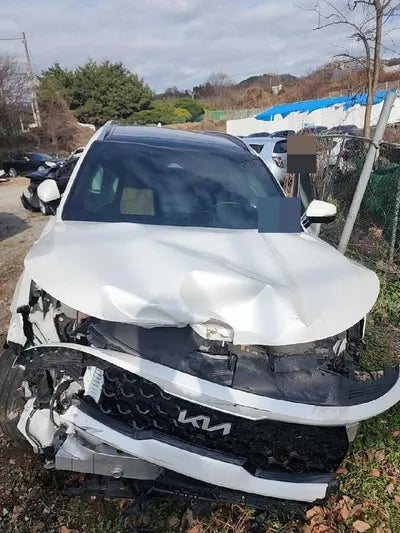 2021 Kia Sorento KNARH81BGMA053240 VIN:KNARH81BGMA053240