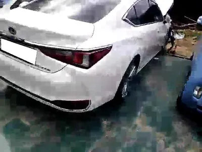 2020 Lexus ES 300 JTHB21B13L2101300 VIN:JTHB21B13L2101300