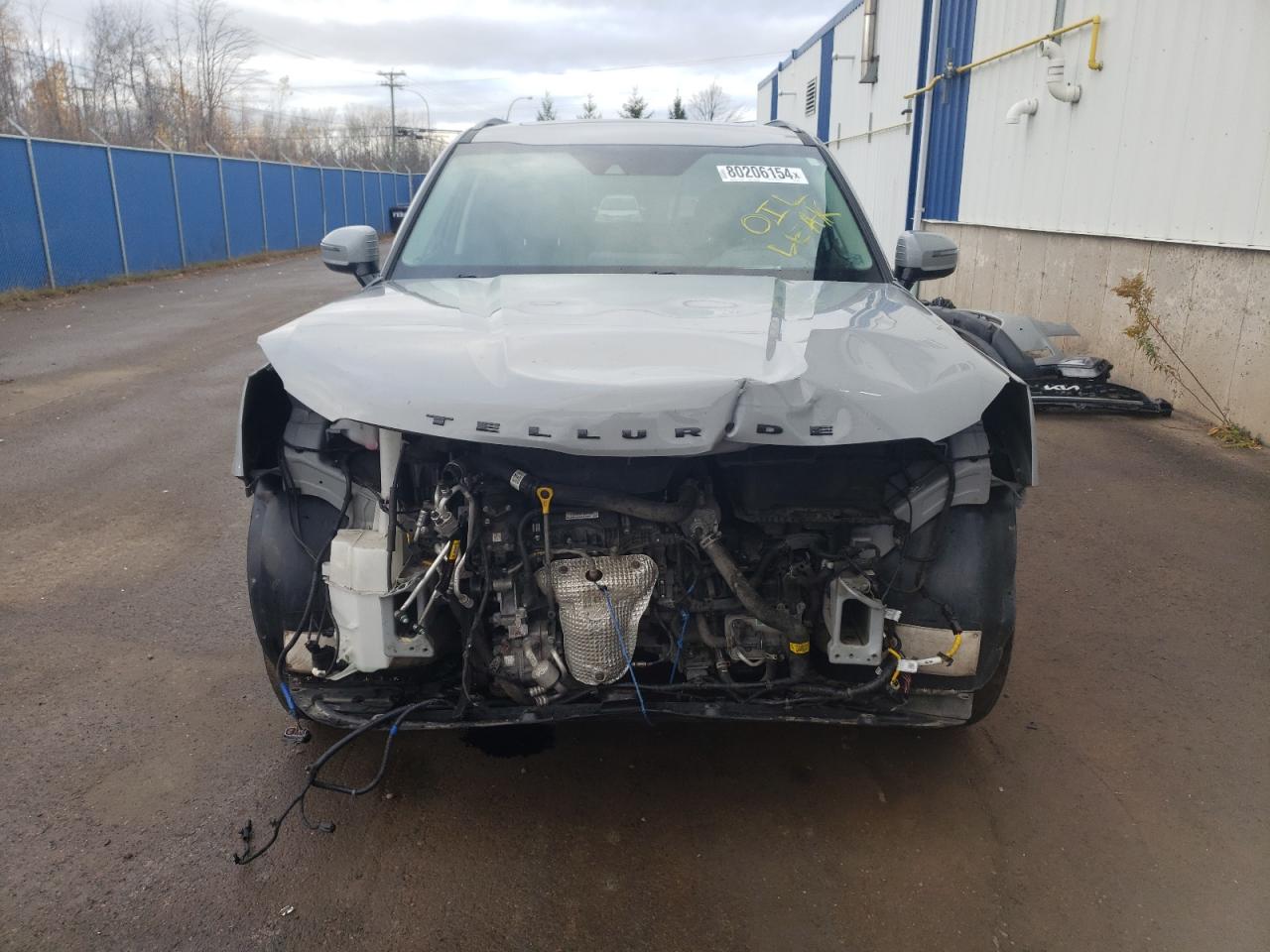 2022 KIA TELLURIDE SX VIN:5XYP5DHC2NG262674