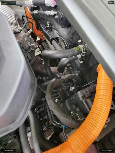 2021 Kia K5 KNAG541JBNA019546 VIN:KNAG541JBNA019546