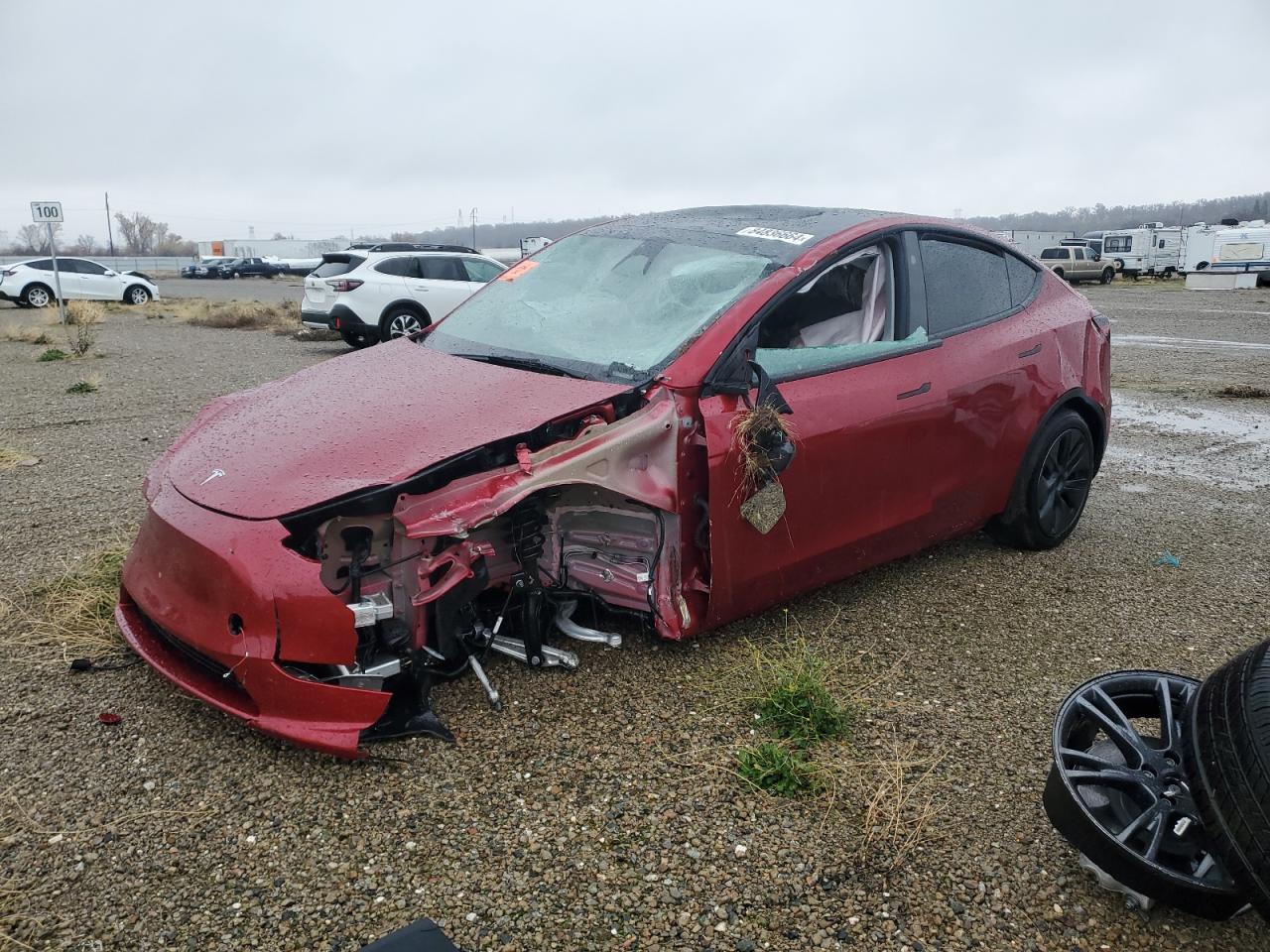 2024 TESLA MODEL Y  VIN:7SAYGDEE8RF183711