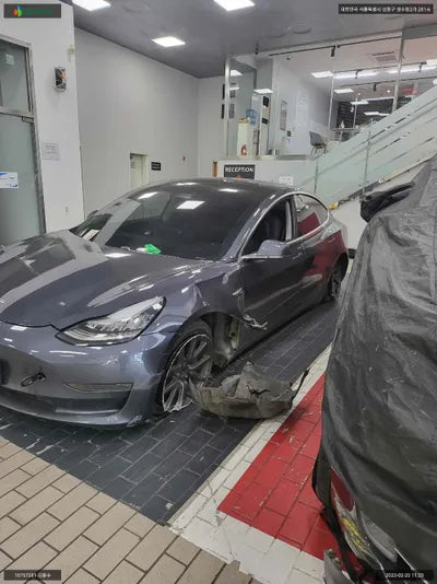 2019 Tesla Model 3 5YJ3E1EB3LF585564 VIN:5YJ3E1EB3LF585564